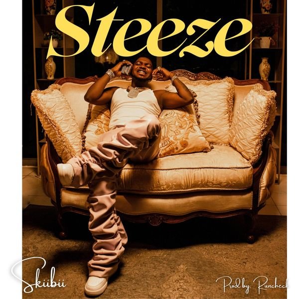 Steeze Lyrics by Skiibii + Mp3 Download